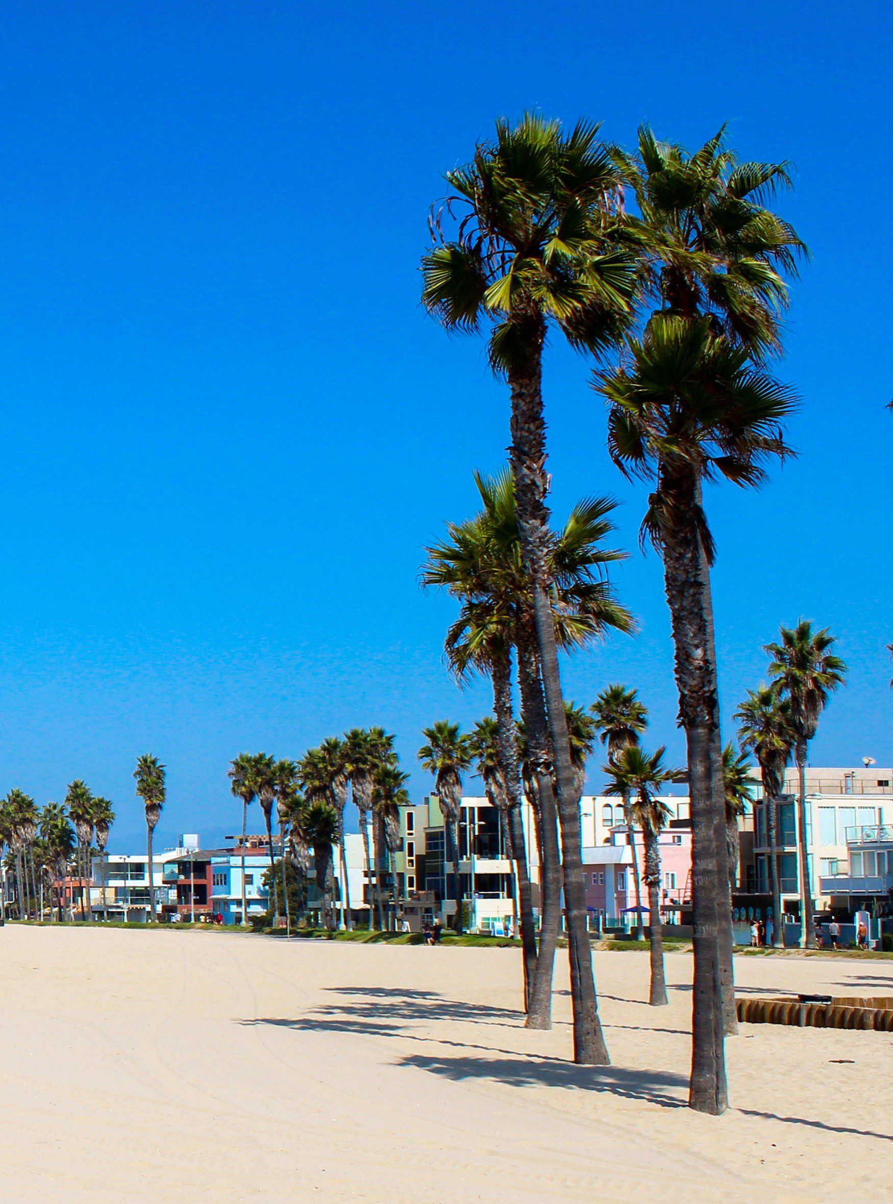 Law and Entrepreneurship in Silicon Beach